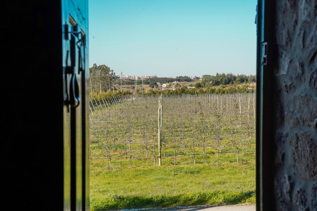 Casa Rustica, Perto Do Castelo De Obidos Villa Ngoại thất bức ảnh