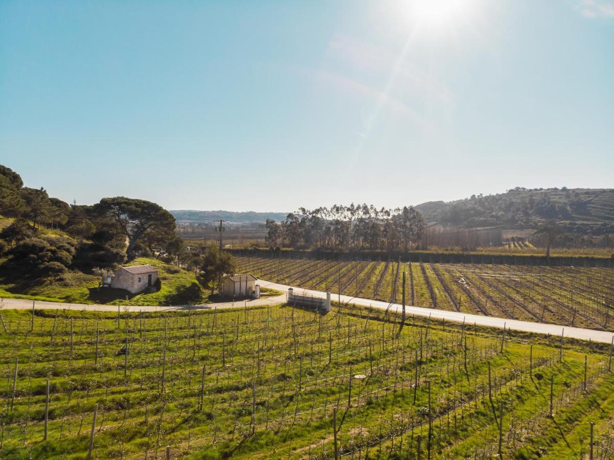 Casa Rustica, Perto Do Castelo De Obidos Villa Ngoại thất bức ảnh